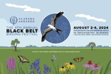 Black Belt Birding Festival